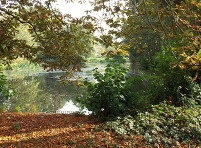 Pond and cottages