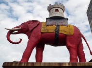 Pink Elephant