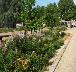 Burgess Park a