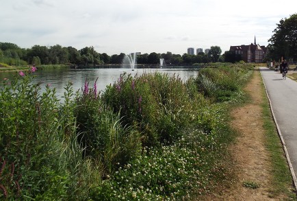Burgess Park c