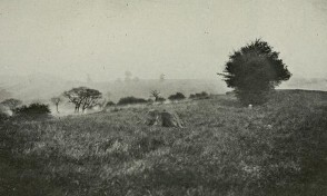 One Tree Hill 1905 (2)