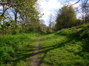 Brenchley Gardens 1