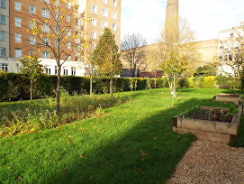 Sumner Community Garden